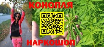 прущие грибы Белорецк