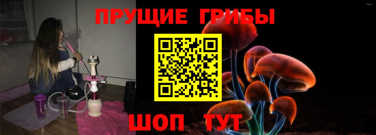 Галлюциногенные грибы Magic Shrooms Дербент